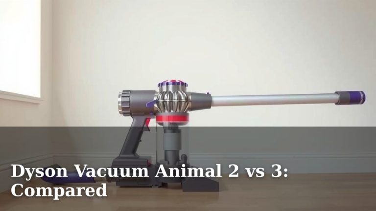 Dyson Vacuum Animal 2 vs 3: Compared