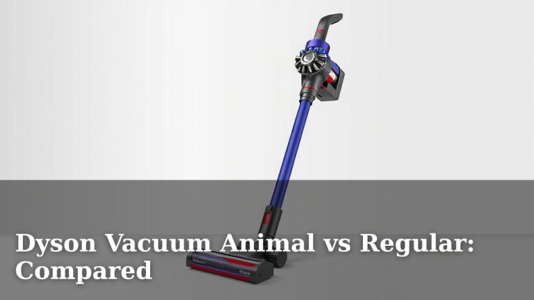 Dyson Vacuum Animal vs Regular: Compared